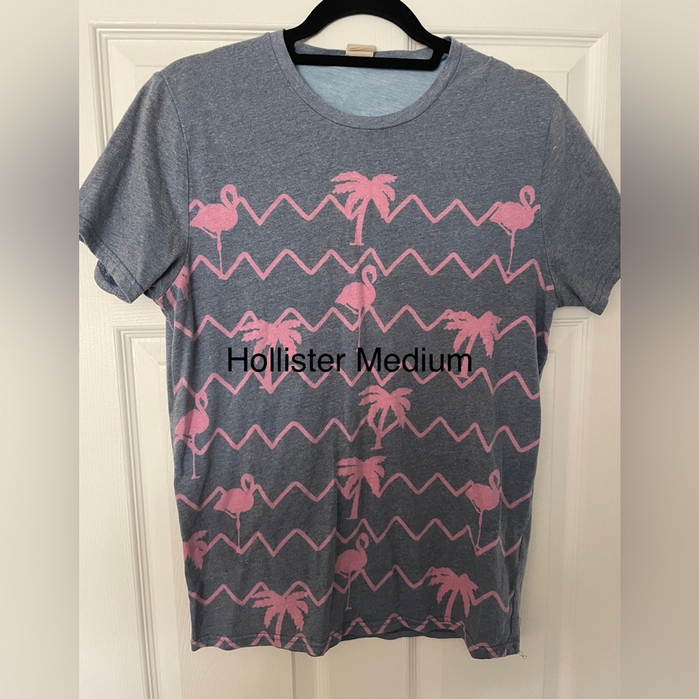 Hollister T Shirt